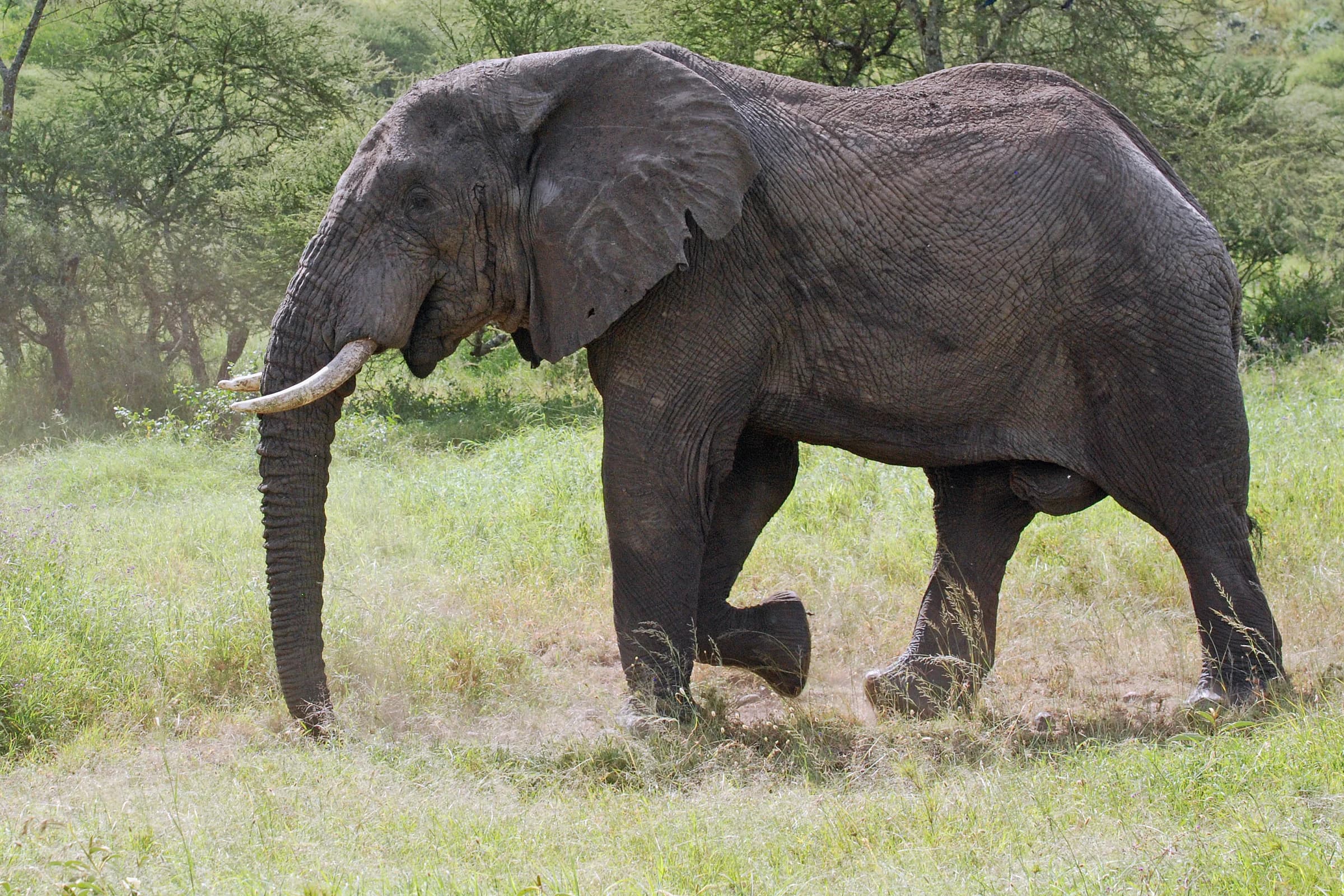 Africa travel guide