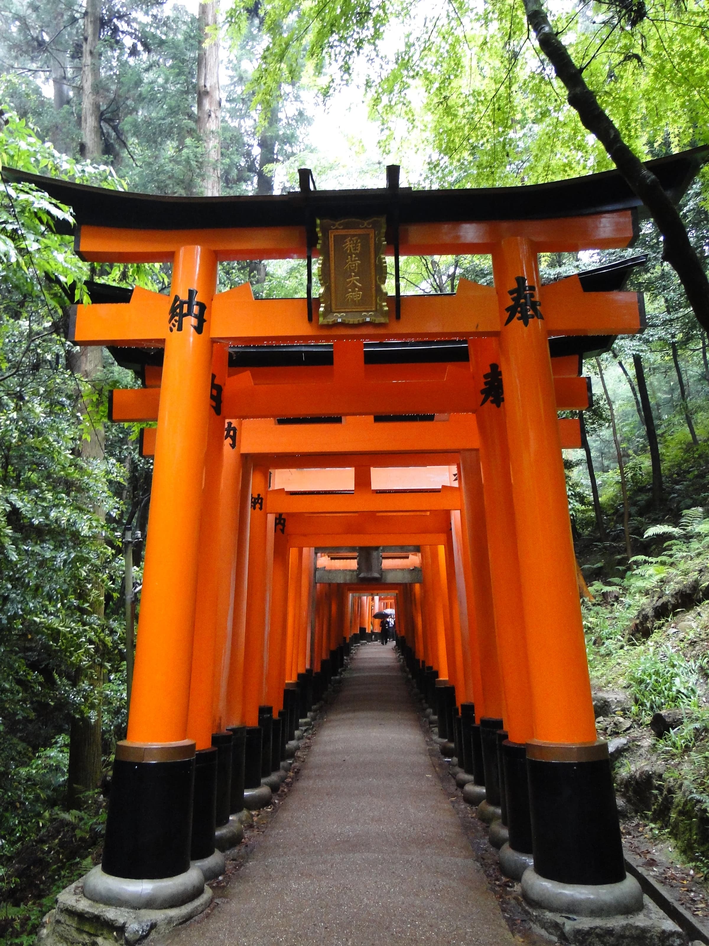 Kyoto, Japan