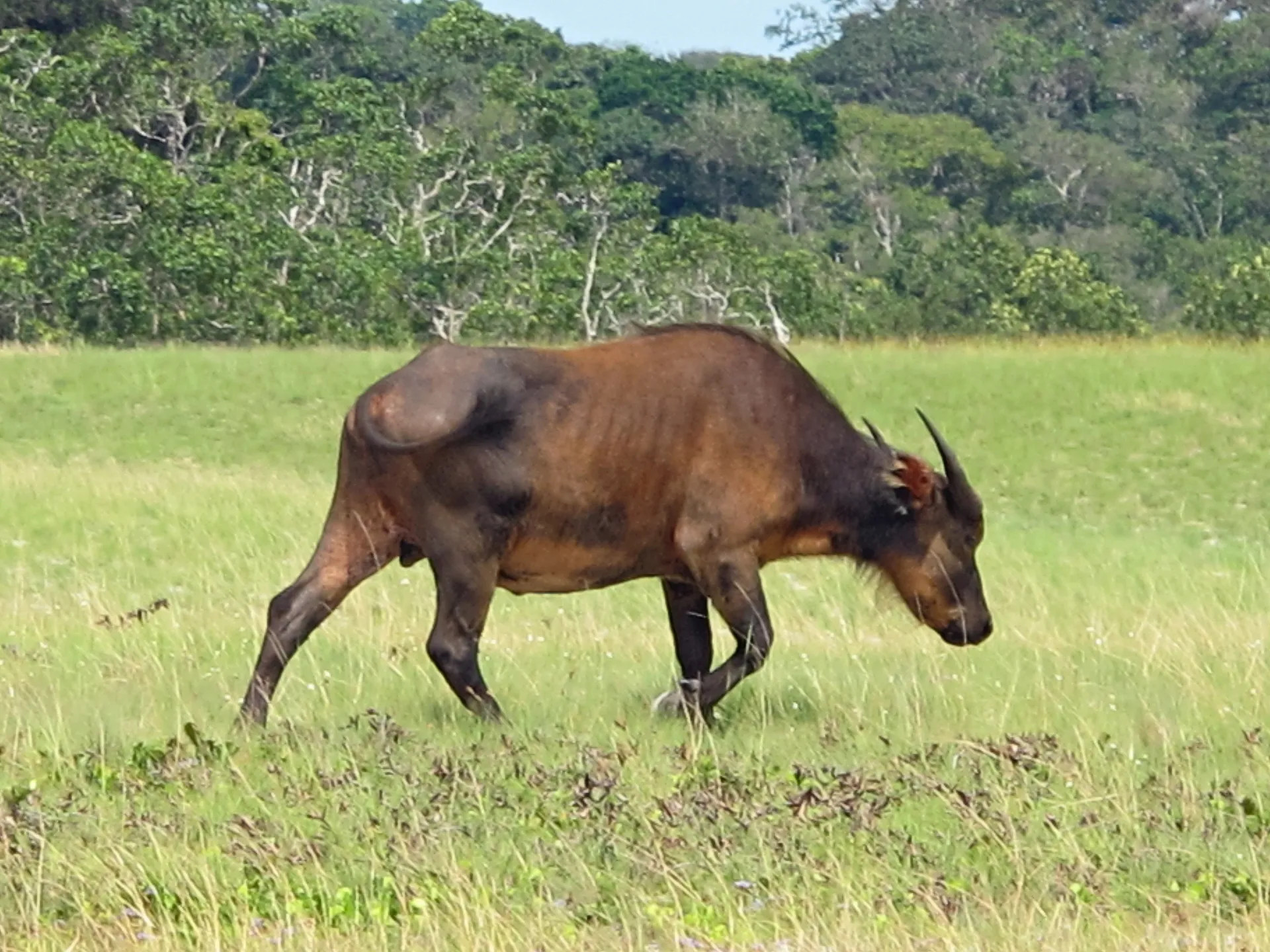 Libreville, Gabon