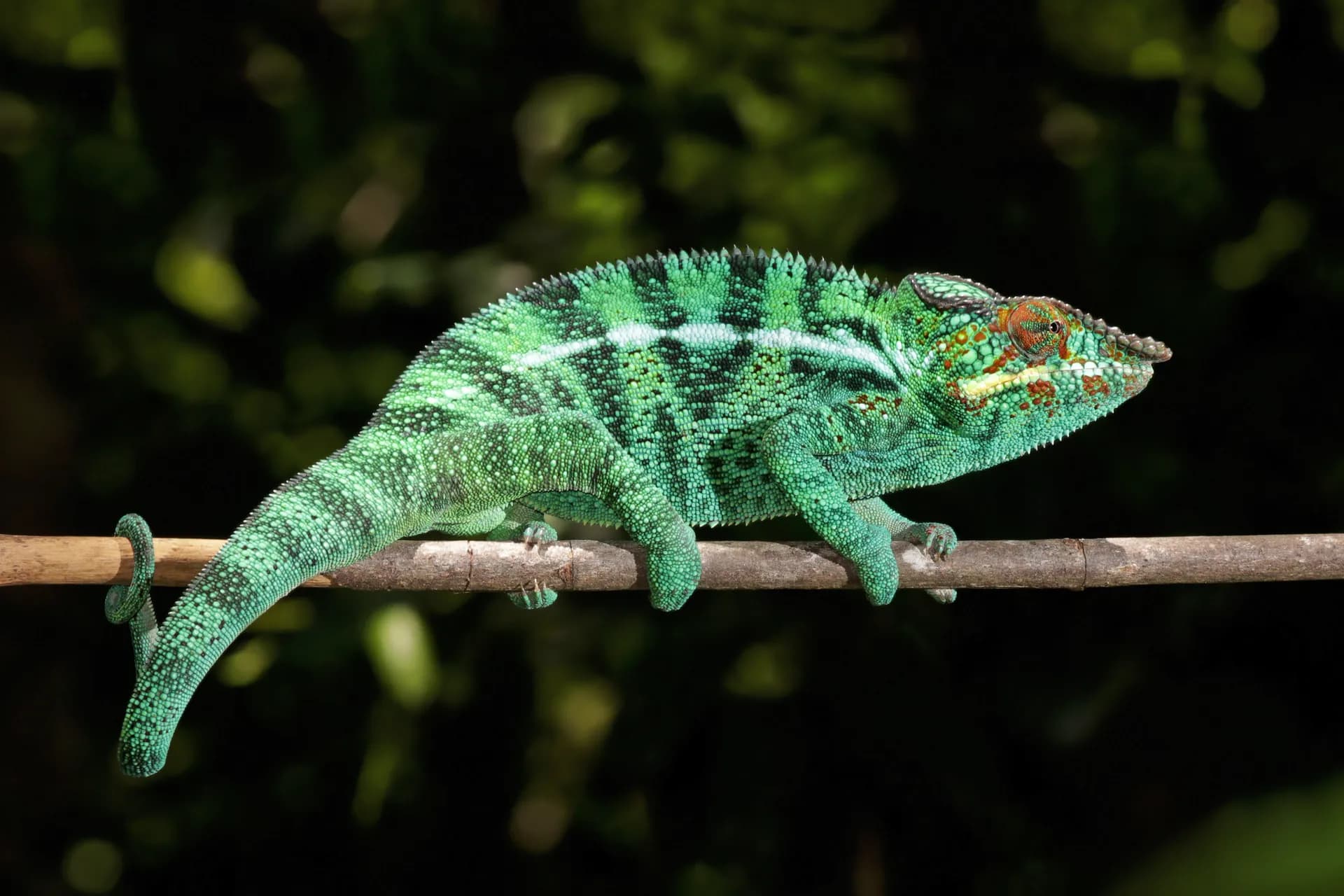 Nosy Be, Madagascar