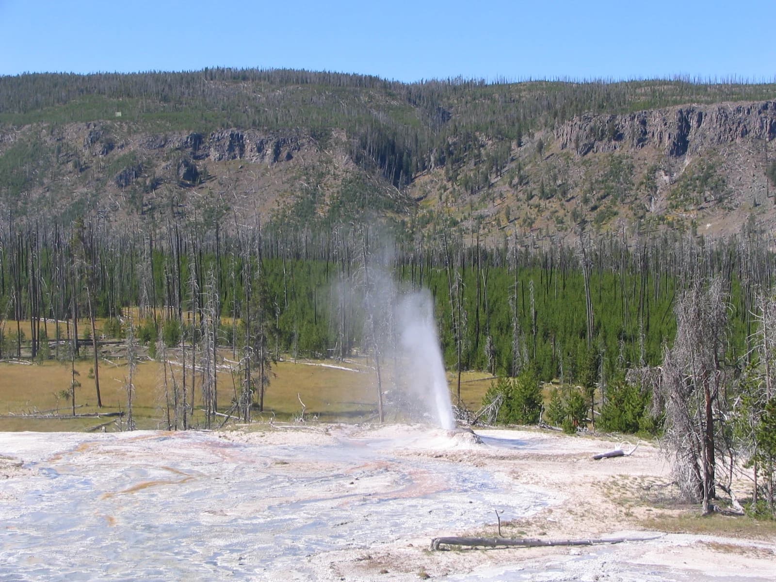Yellowstone, United States
