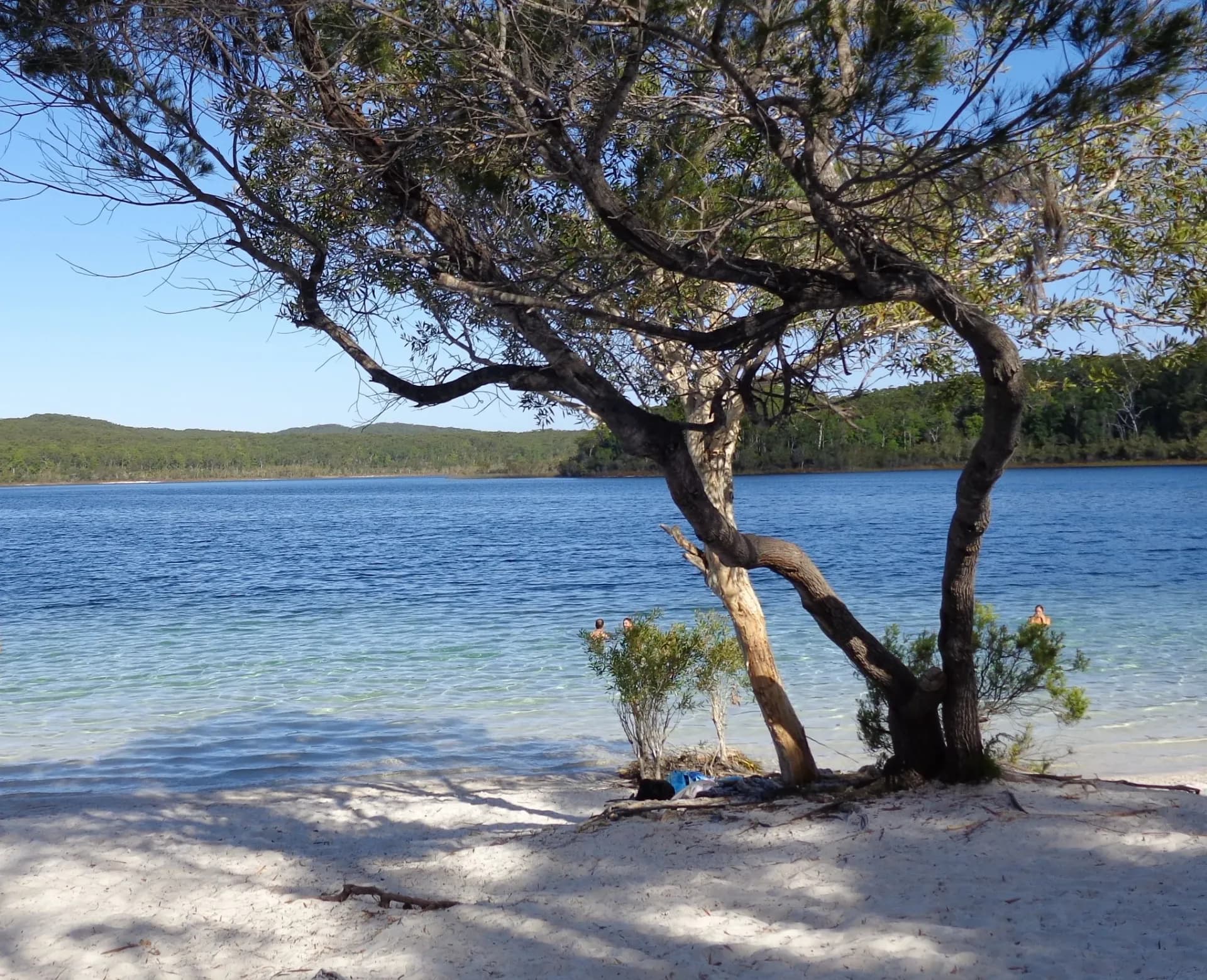 Fraser Island (K'gari), Australia