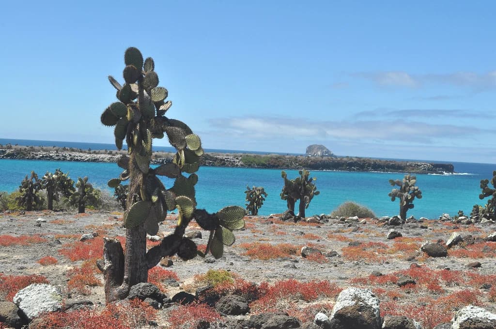 Galápagos Islands, Ecuador