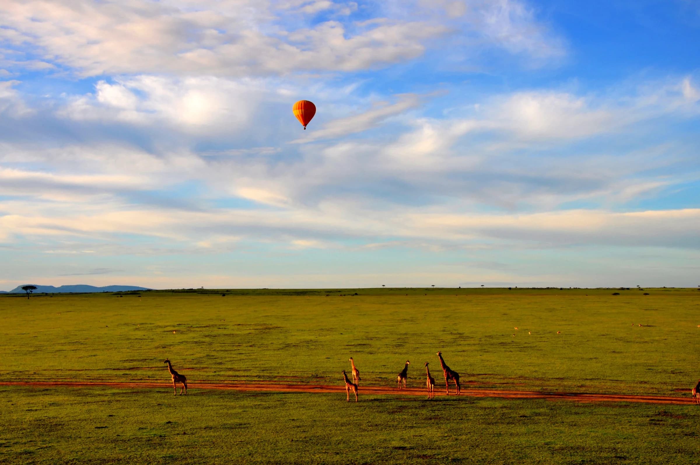 Maasai Mara, Kenya
