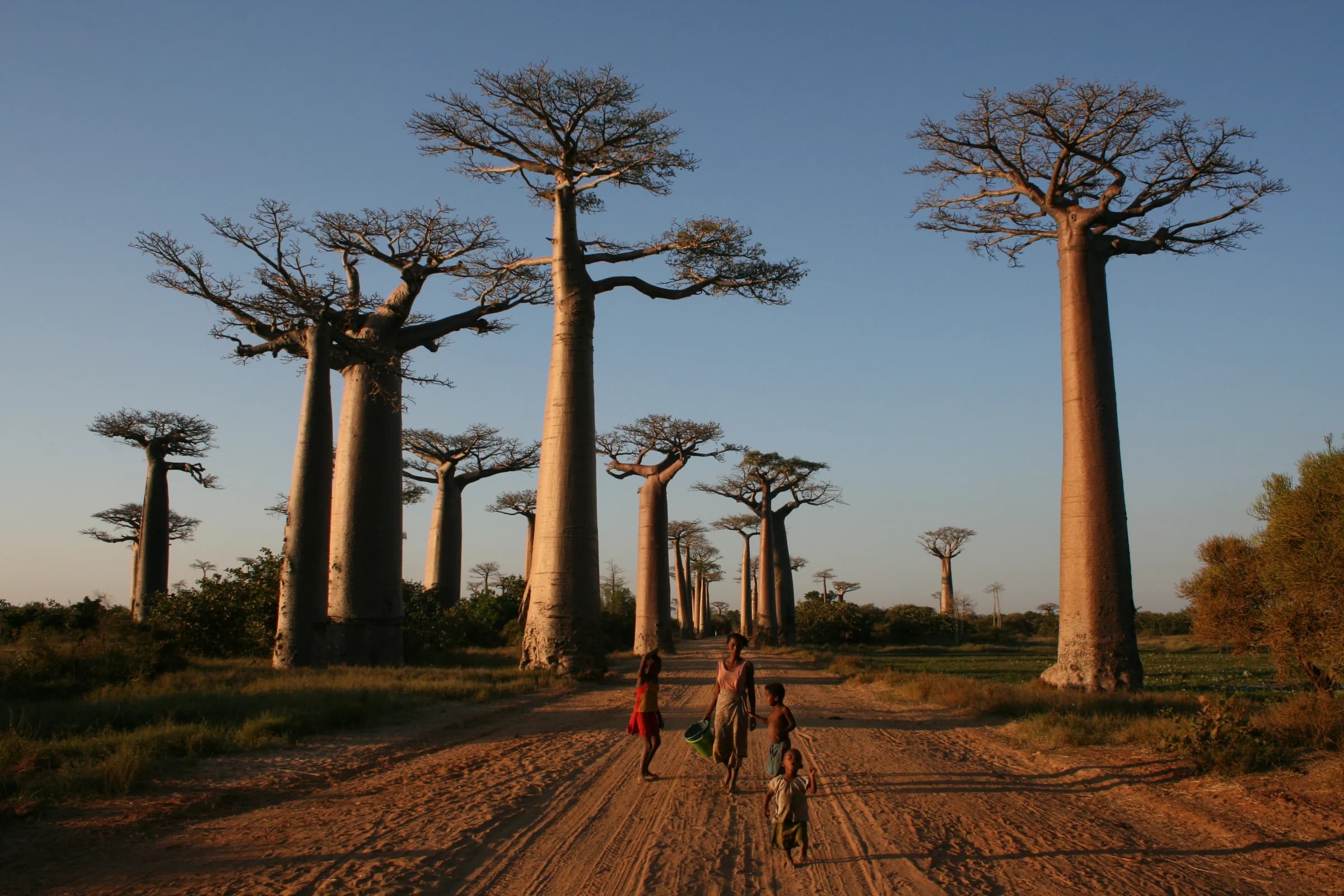 Madagascar, Madagascar