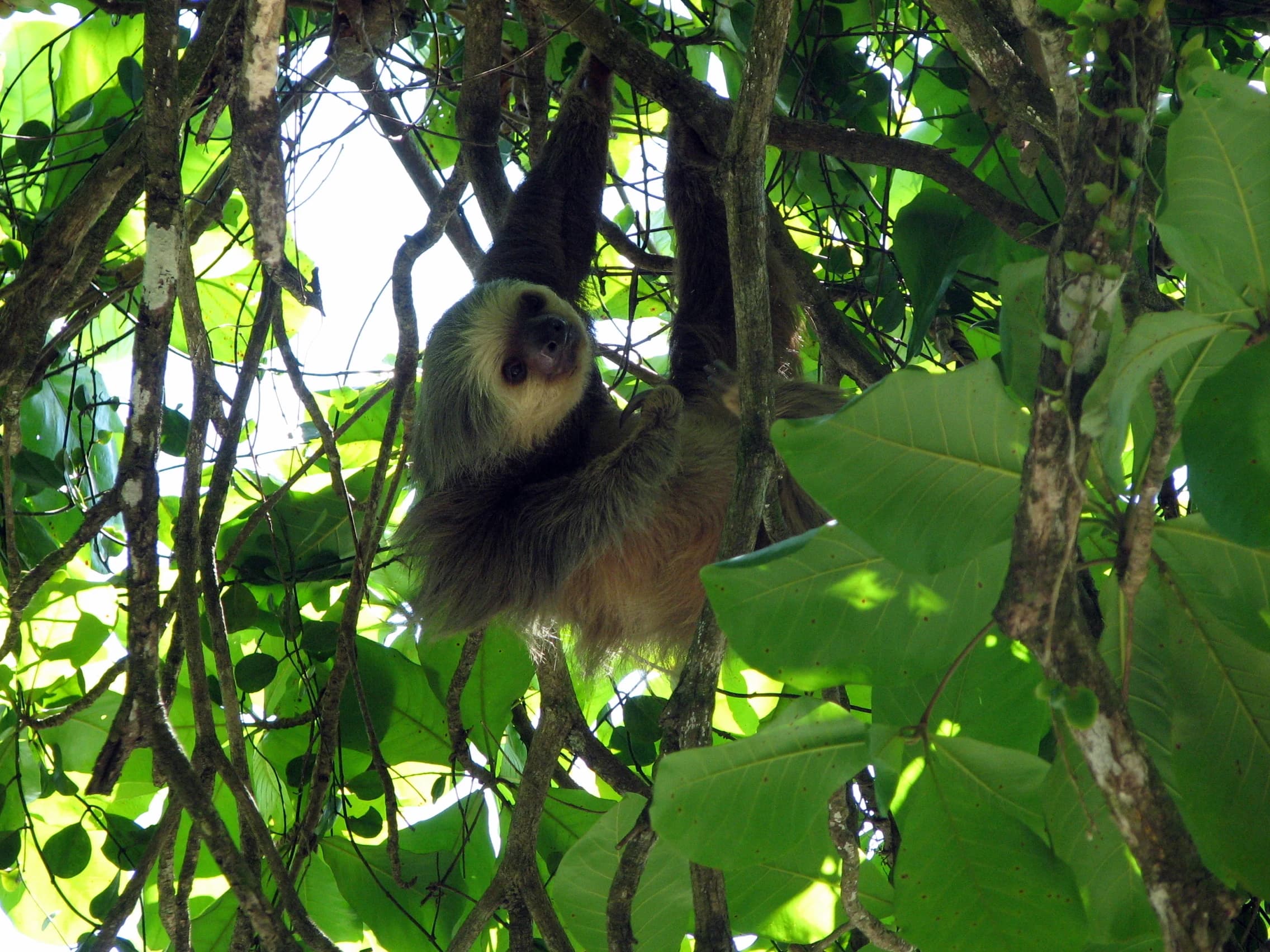 Manuel Antonio, Costa Rica