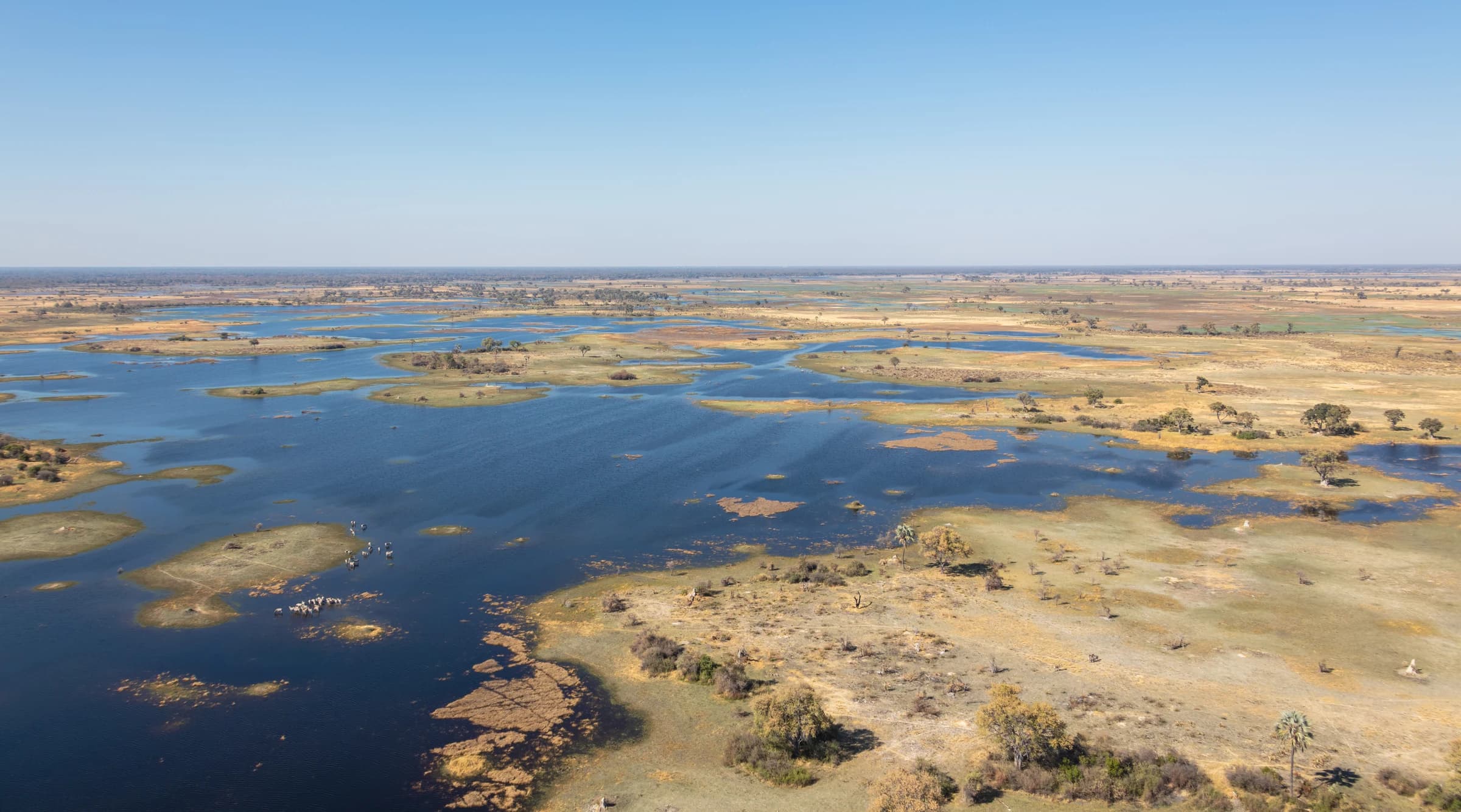 Okavango Delta, Botswana