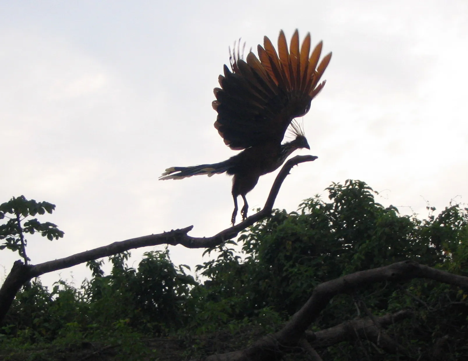 Rurrenabaque, Bolivia