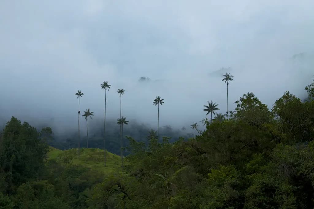 Salento, Colombia