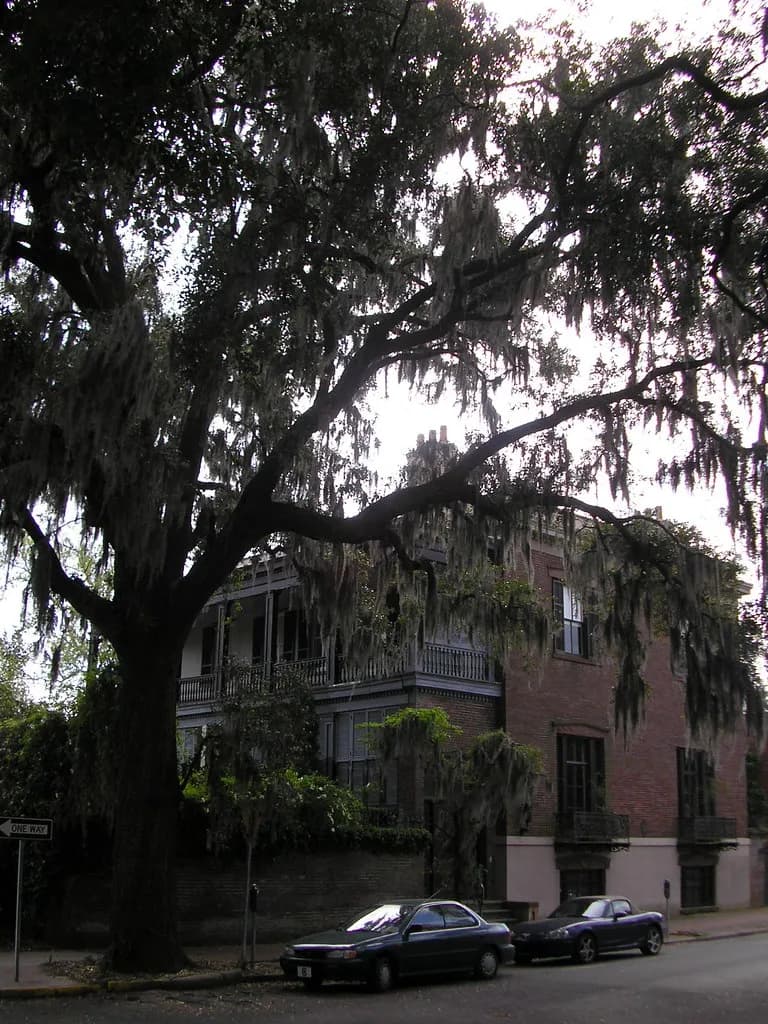 Savannah, United States